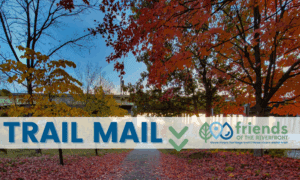 trail mail- newsletter header