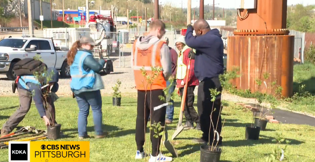 tree planting at event
