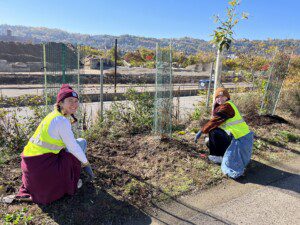 tree planting trail care event
