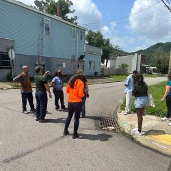 Hazelwood-Tree-Pgh-Walk